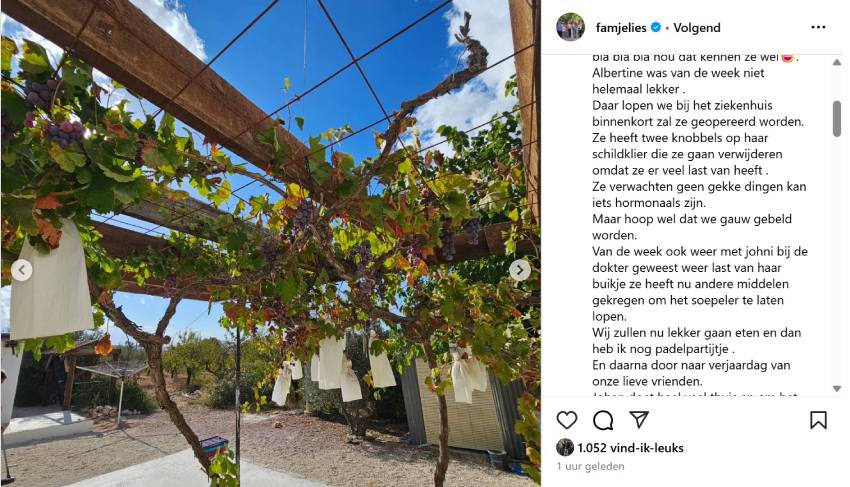 Bericht over Albertine.